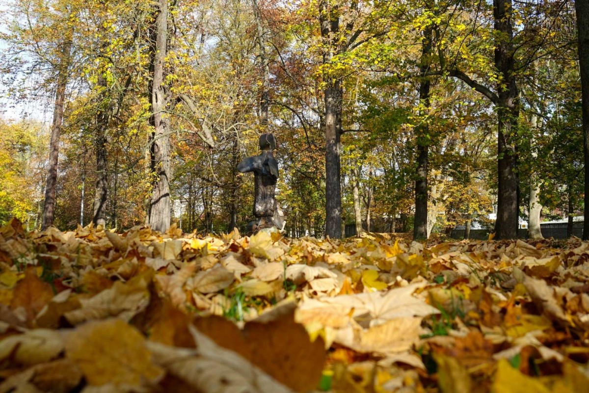 Park przy Zgorzeleckiej w Bolesławcu