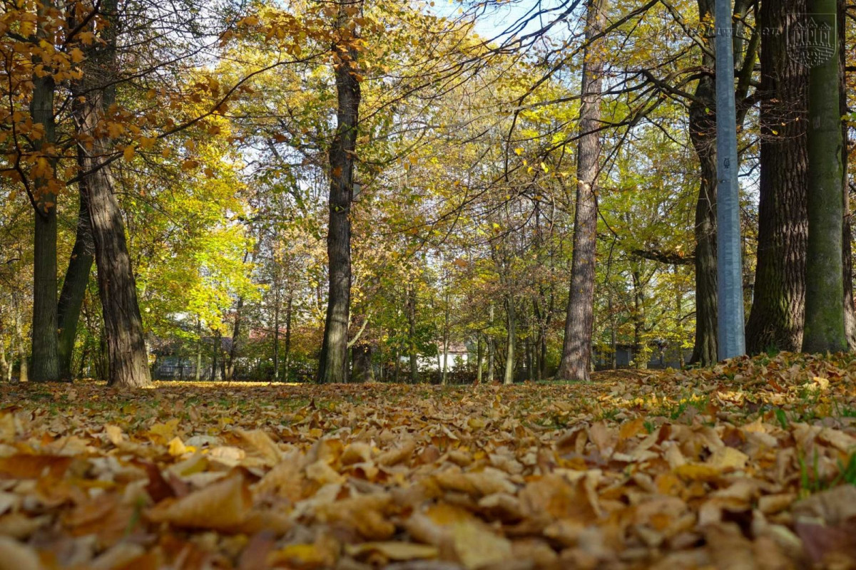 Park przy Zgorzeleckiej w Bolesławcu