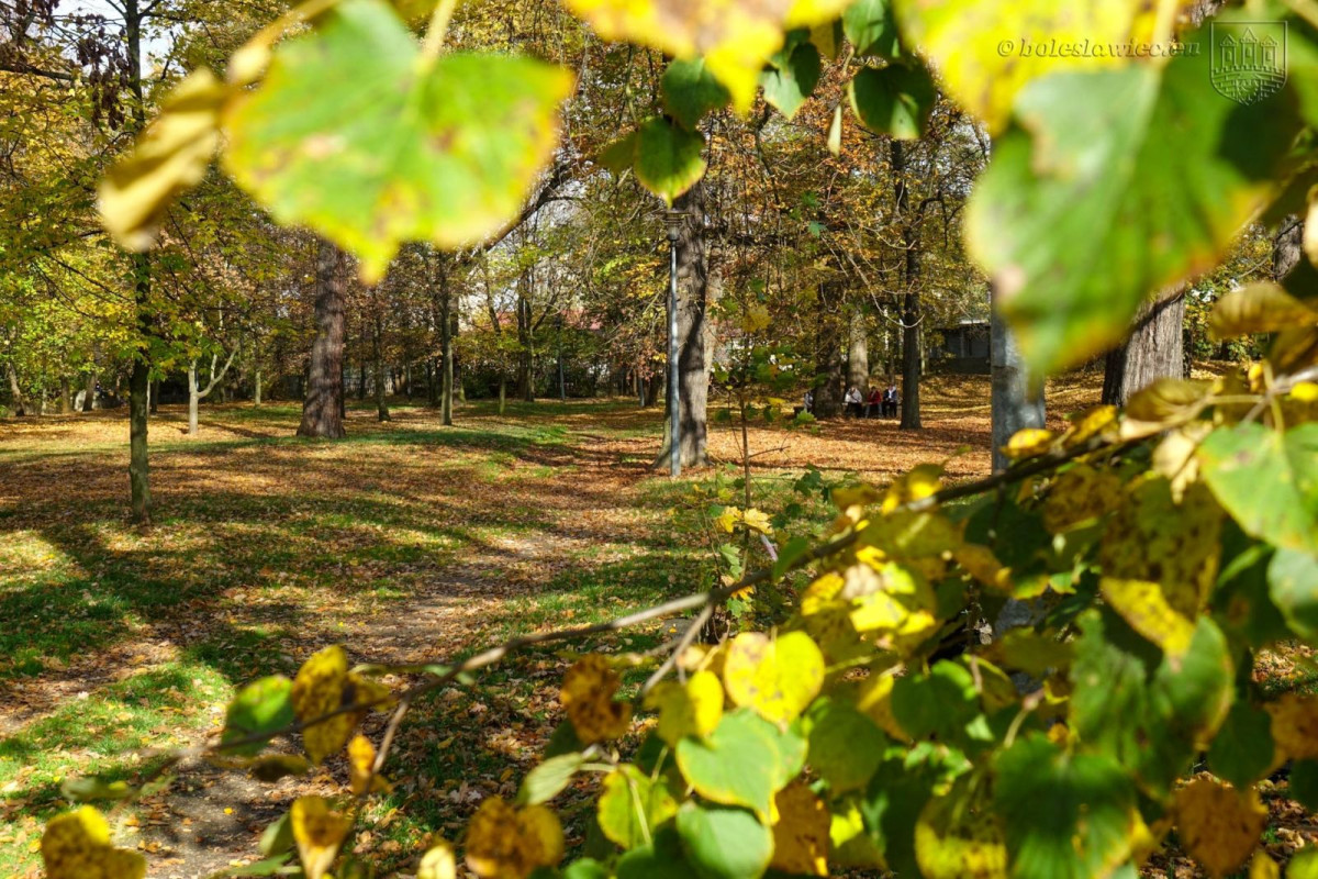 Park przy Zgorzeleckiej w Bolesławcu