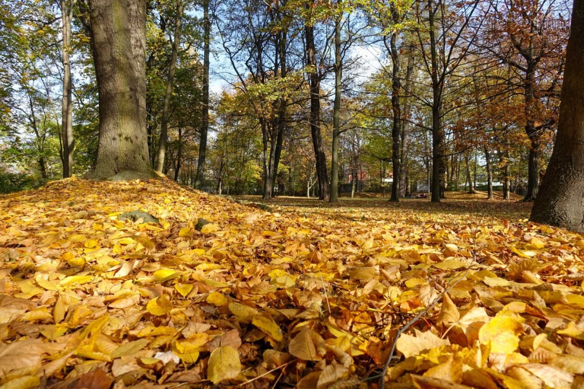Park przy Zgorzeleckiej w Bolesławcu