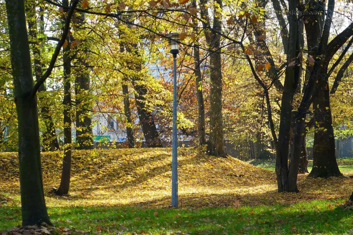 Park przy Zgorzeleckiej w Bolesławcu