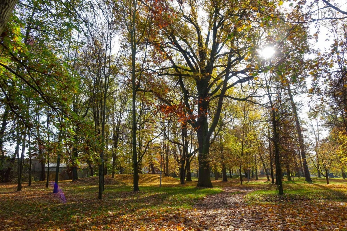 Park przy Zgorzeleckiej w Bolesławcu