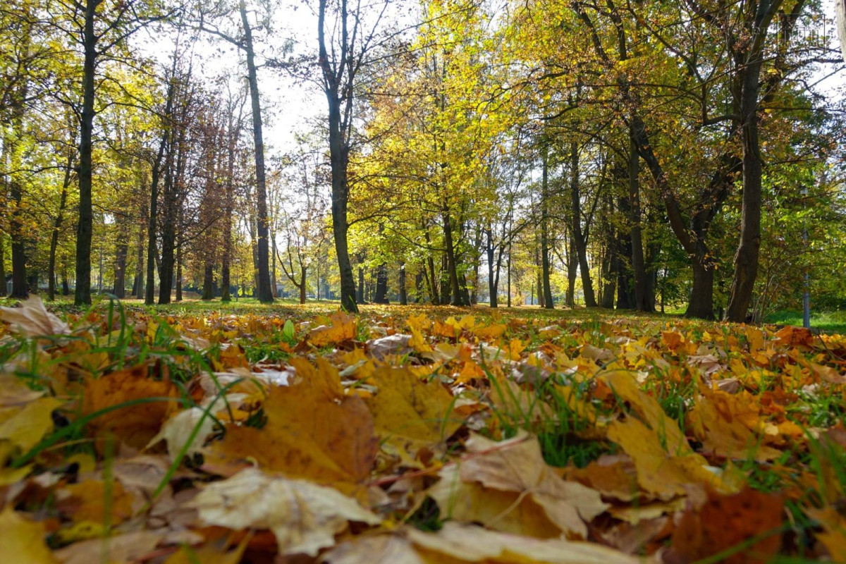 Park przy Zgorzeleckiej w Bolesławcu