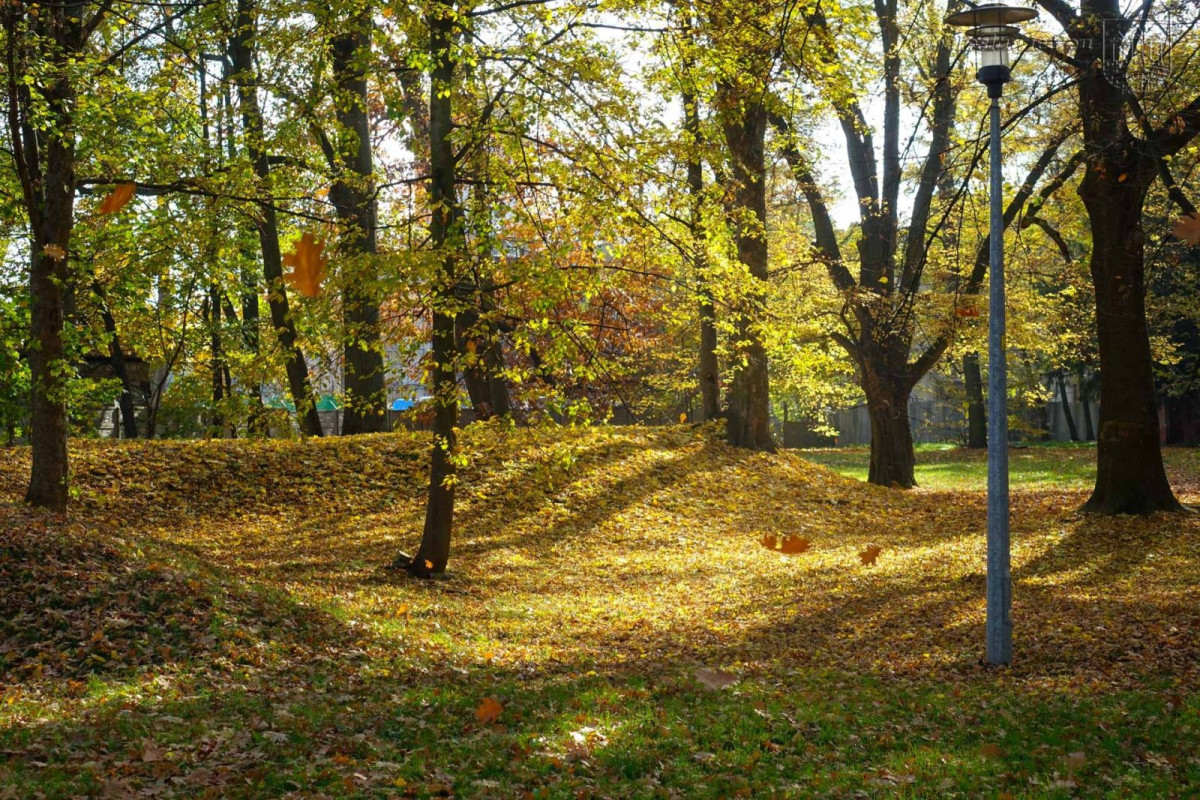 Park przy Zgorzeleckiej w Bolesławcu