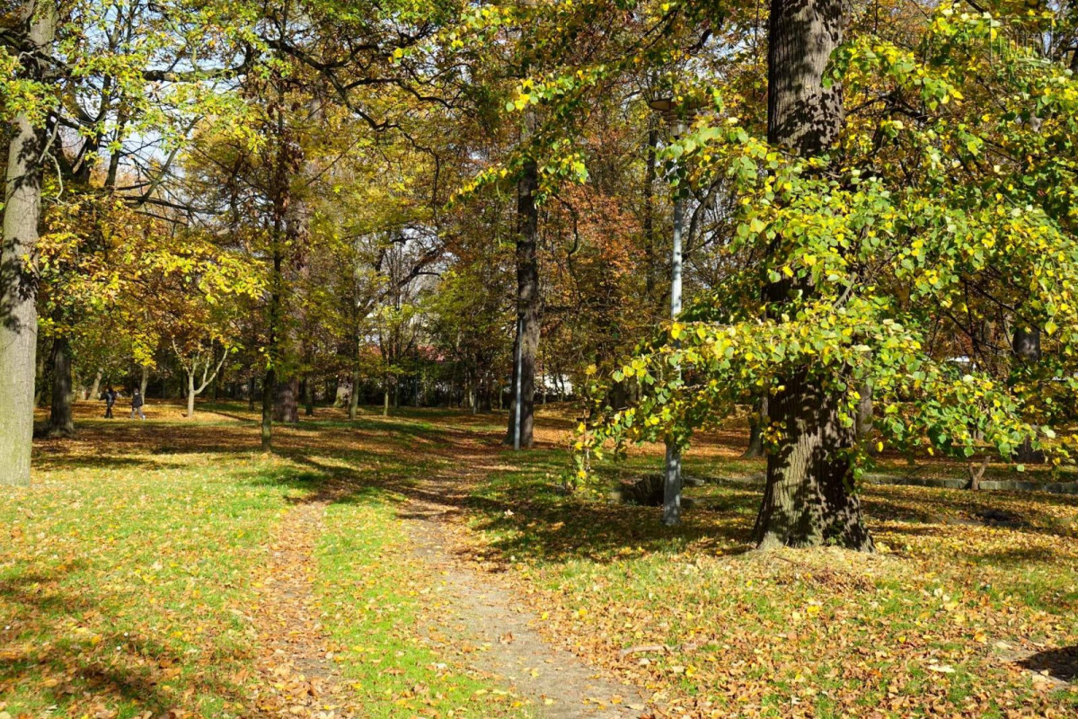 Park przy Zgorzeleckiej w Bolesławcu