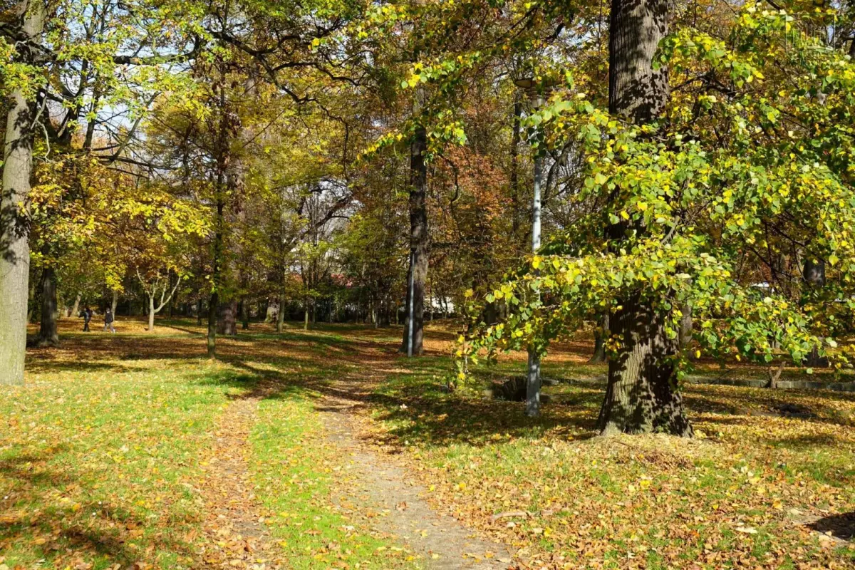 Park przy Zgorzeleckiej w Bolesławcu