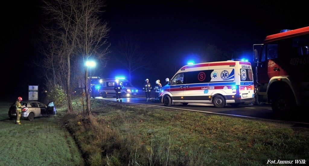 Opel wypadł z drogi