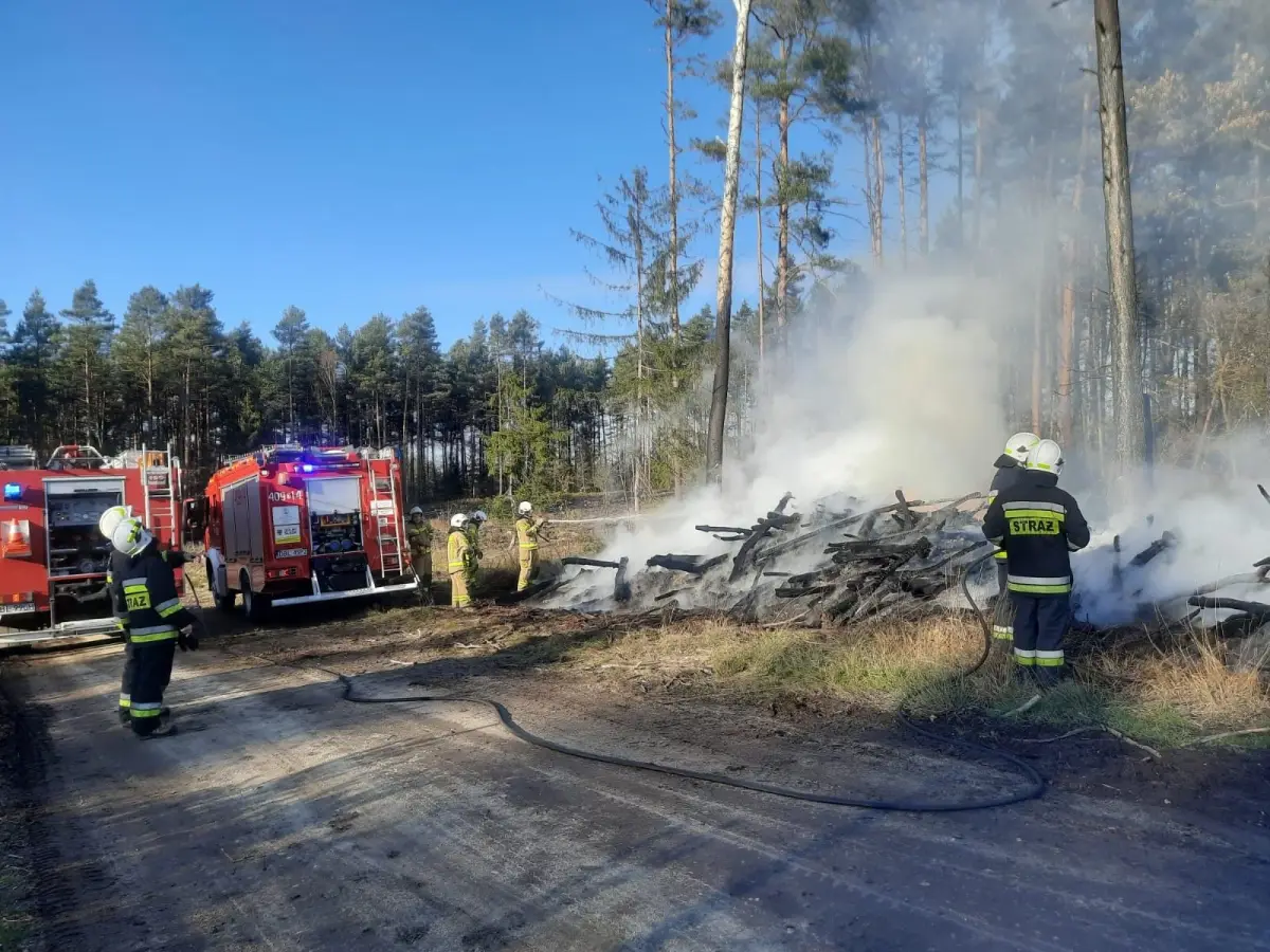 Akcja strażaków w miejscowości Brzeźnik