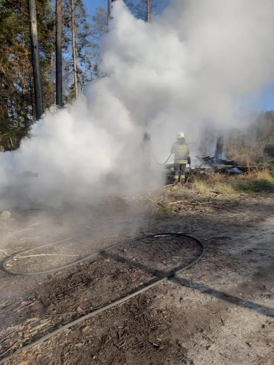 Akcja strażaków w miejscowości Brzeźnik