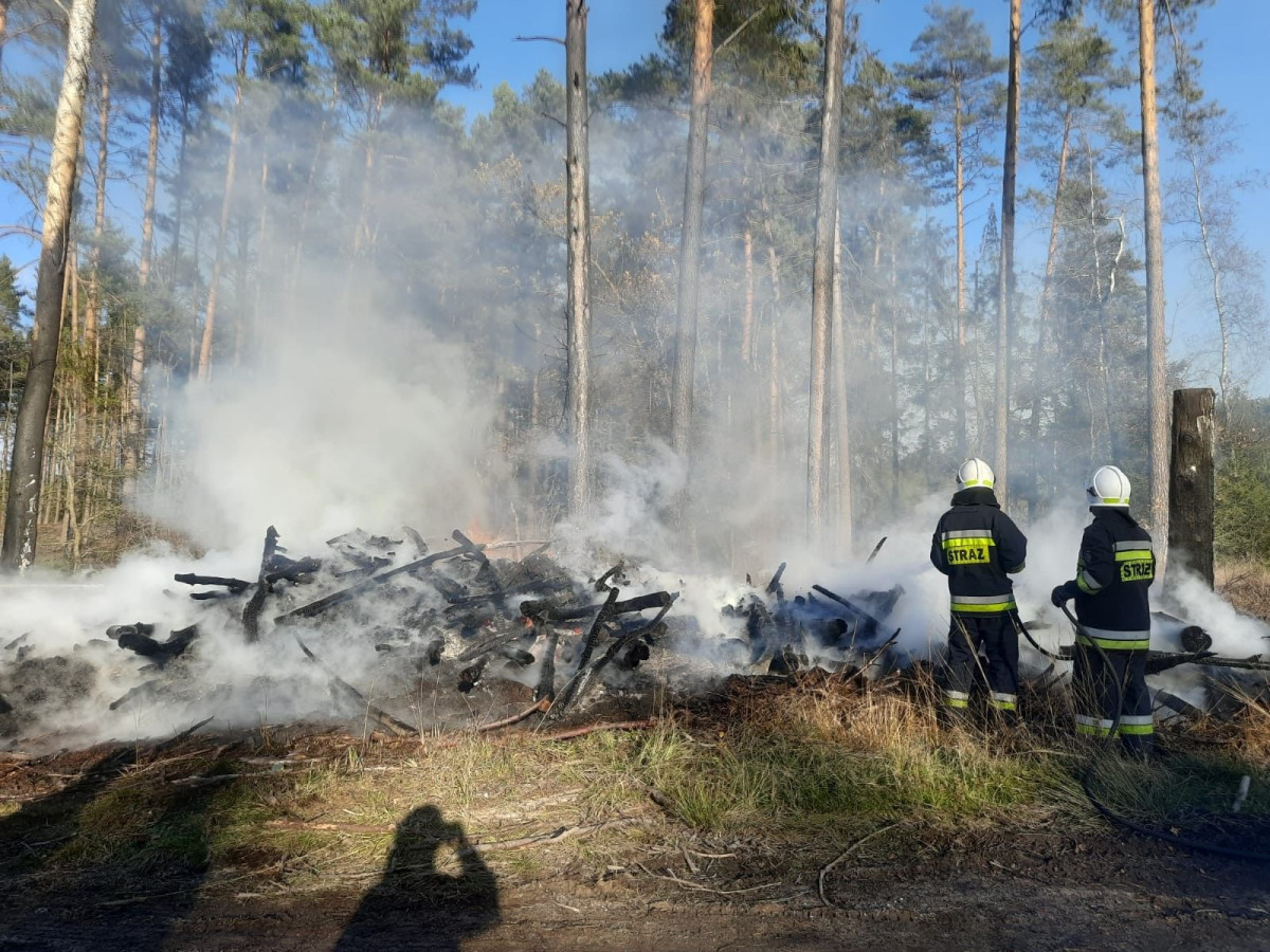 Akcja strażaków w miejscowości Brzeźnik