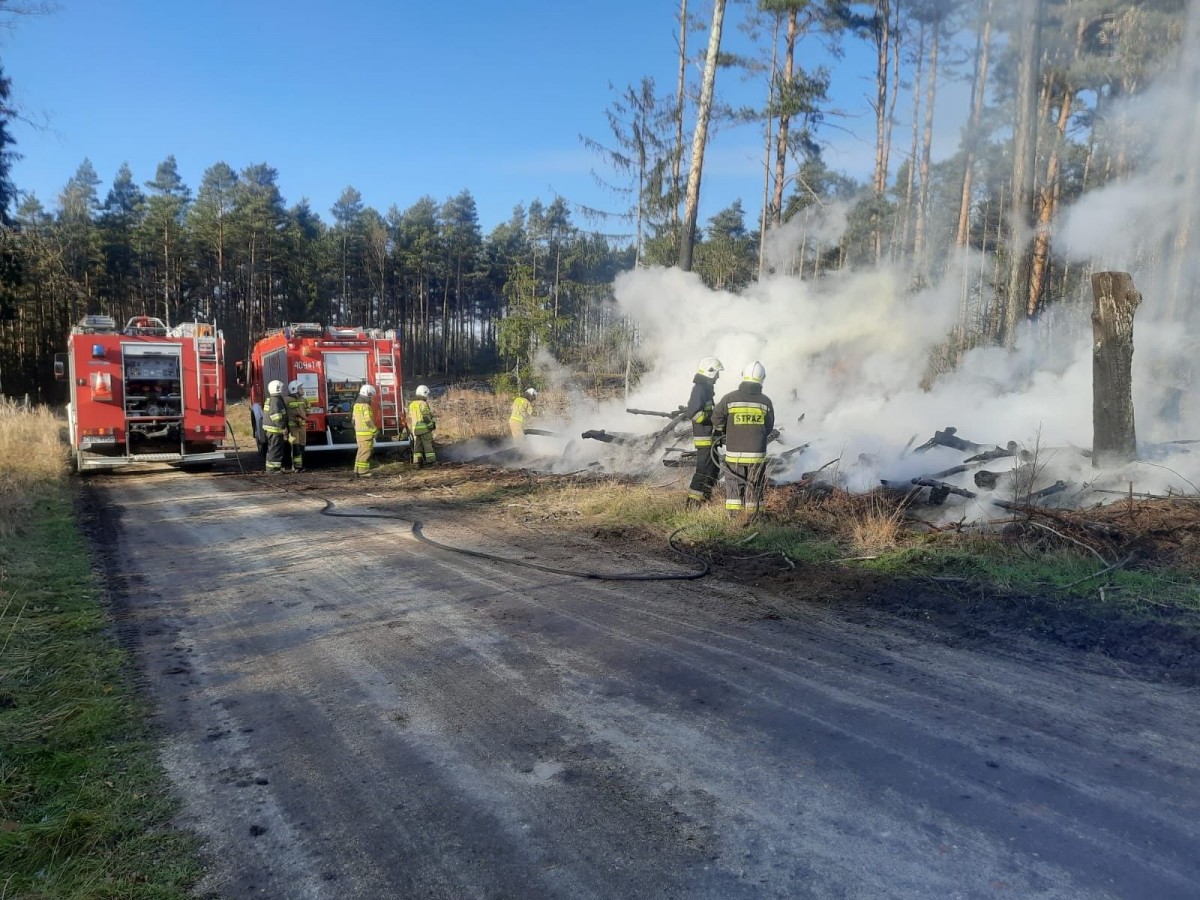Akcja strażaków w miejscowości Brzeźnik
