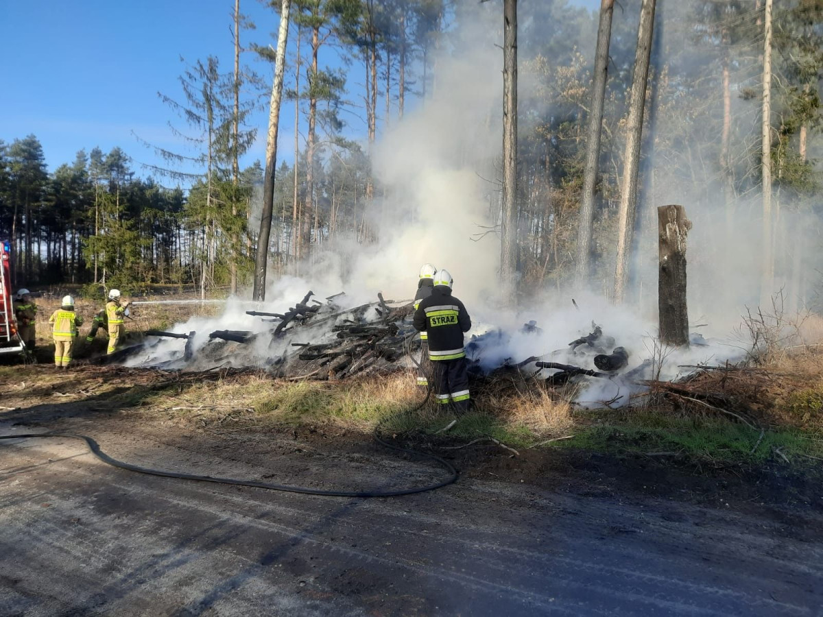 Akcja strażaków w miejscowości Brzeźnik