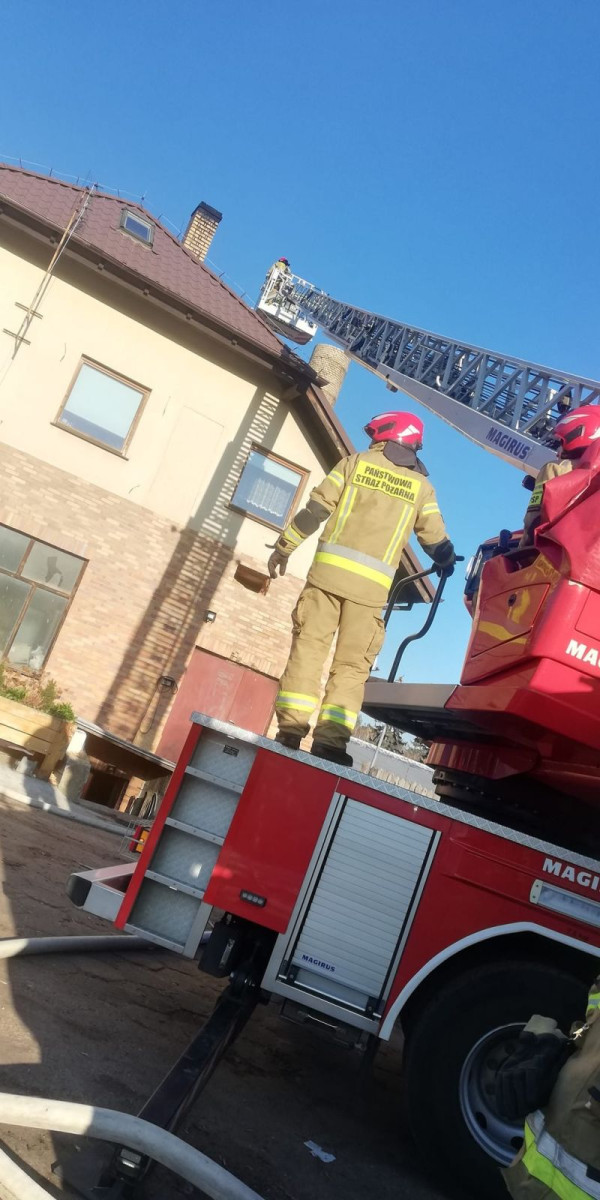 Akcja służb w Osiecznicy