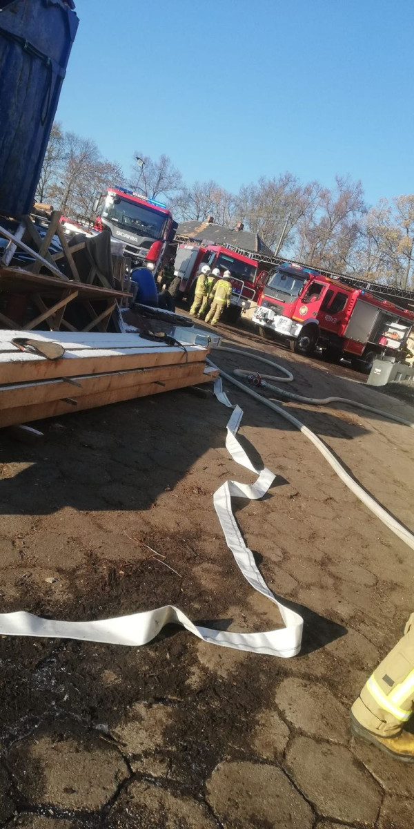 Akcja służb w Osiecznicy