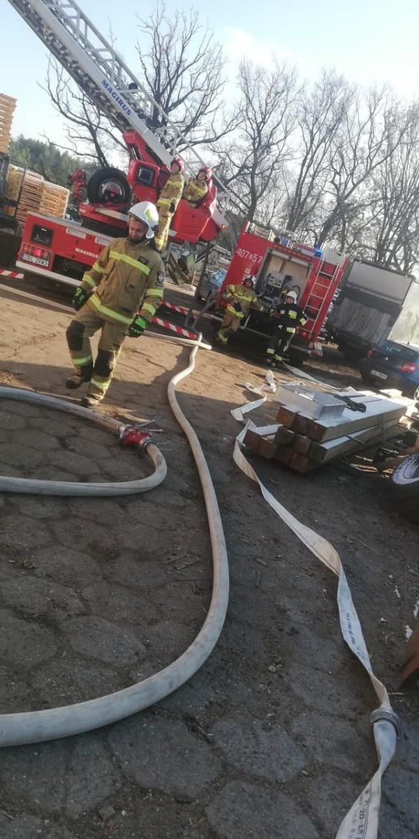 Akcja służb w Osiecznicy