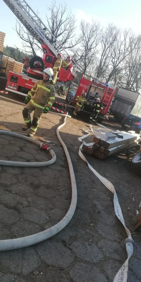 Akcja służb w Osiecznicy
