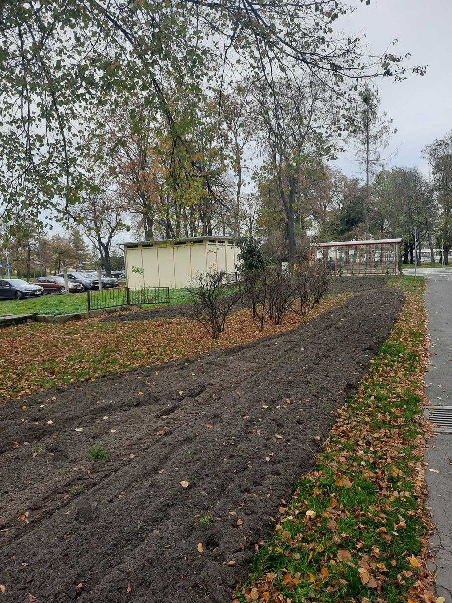 Projekt „Kwitnące Łąki”