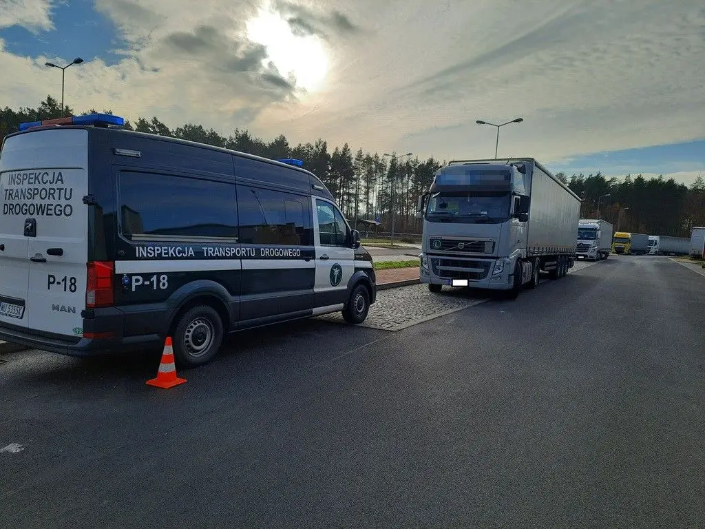 Działania WITD