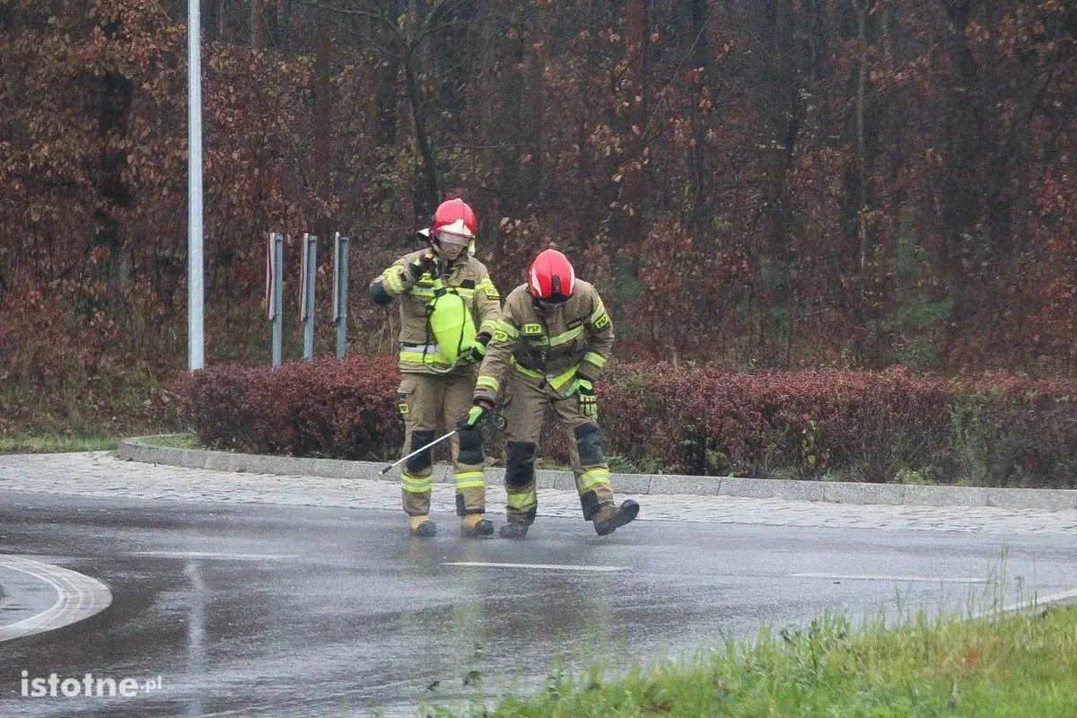Śliska plama w pobliżu ronda przy ulicy Jeleniogórskiej w Bolesławcu