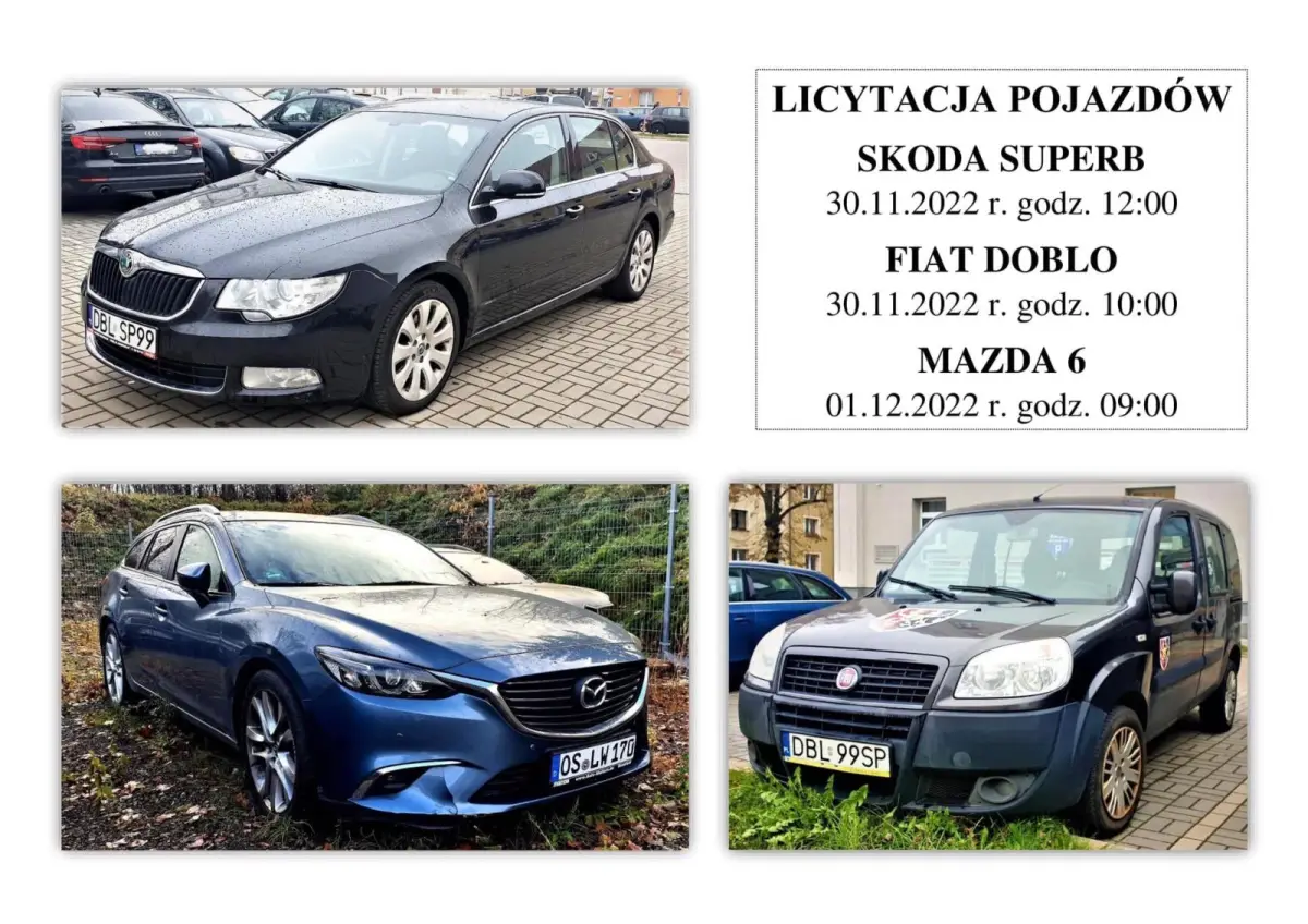 Infografika