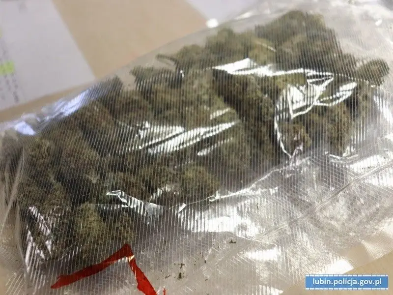 Marihuana