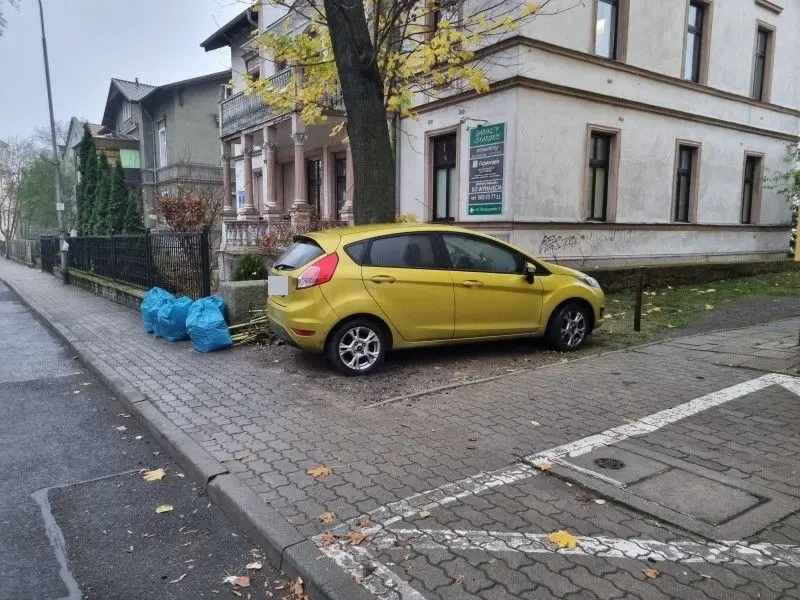 W jakich miejscach lepiej nie parkować. Grozi za to kara grzywny do 1000 zł