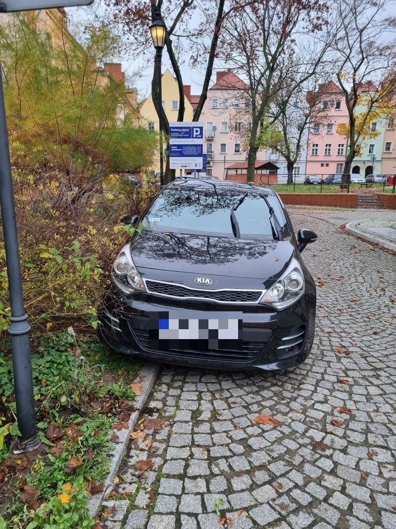 W jakich miejscach lepiej nie parkować. Grozi za to kara grzywny do 1000 zł