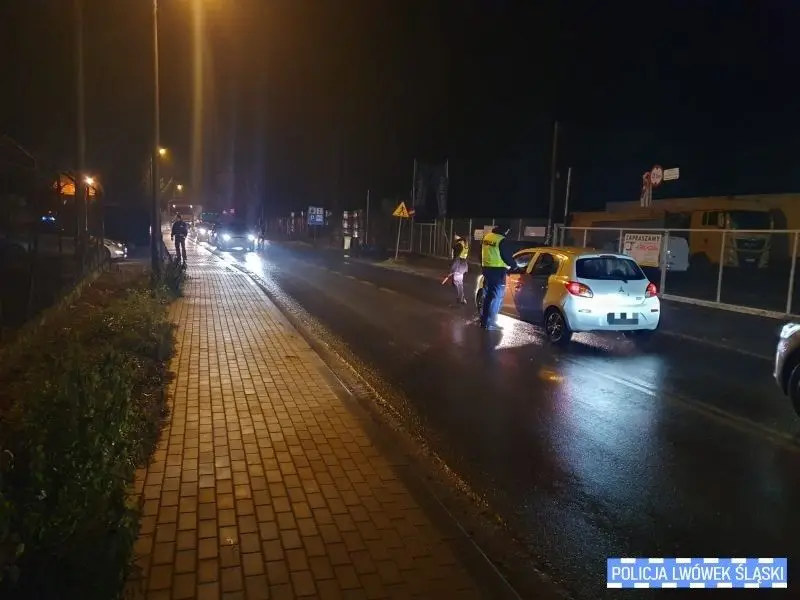 Lwówek police operation
