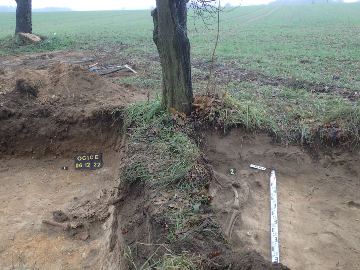 Działania Stowarzyszenia Pomost w Ocicach