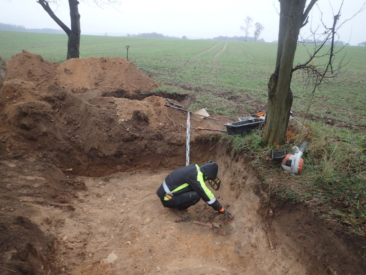 Działania Stowarzyszenia Pomost w Ocicach