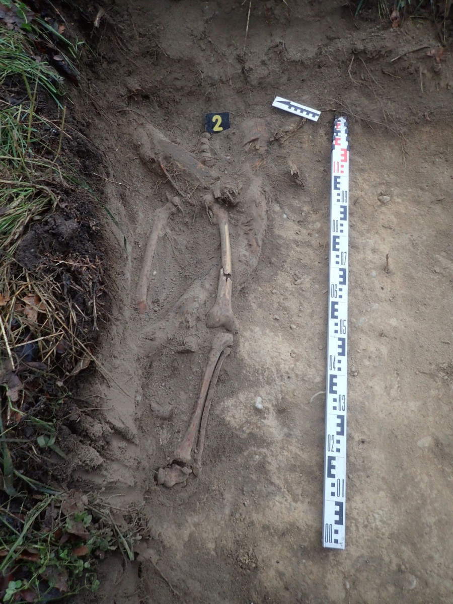 Działania Stowarzyszenia Pomost w Ocicach