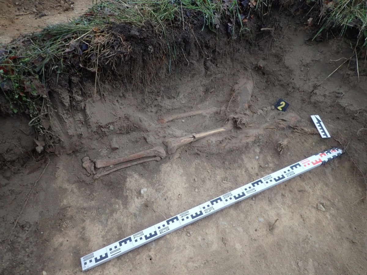 Działania Stowarzyszenia Pomost w Ocicach