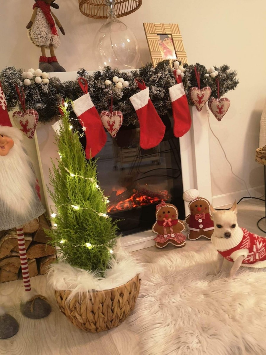 zdj. 10. piesek przy kominku Konkurs Marpolu na najlepszą stylizację świąteczną!