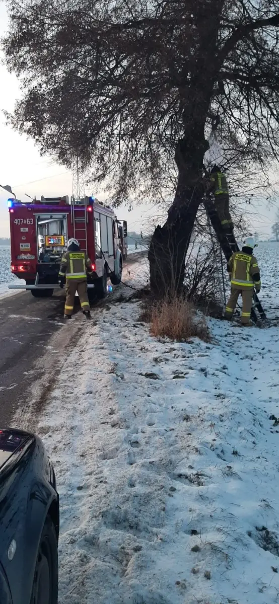 Fire service operation between Żeliszów and Raciborowice