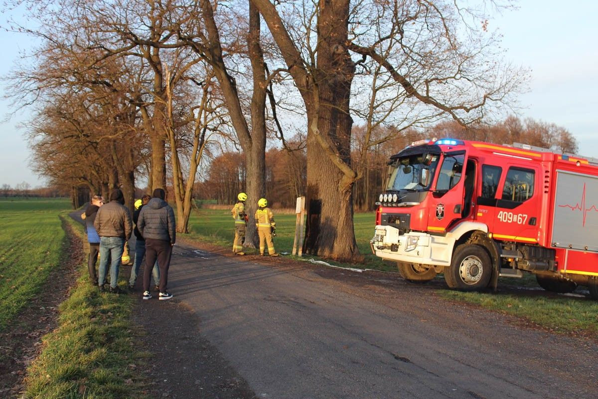 Ktoś podpalił dęba szypułkowego w Kruszynie