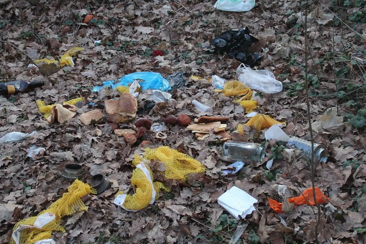 Skład butelek, puszek i innych śmieci w lasku za dino przy Starzyńskiego