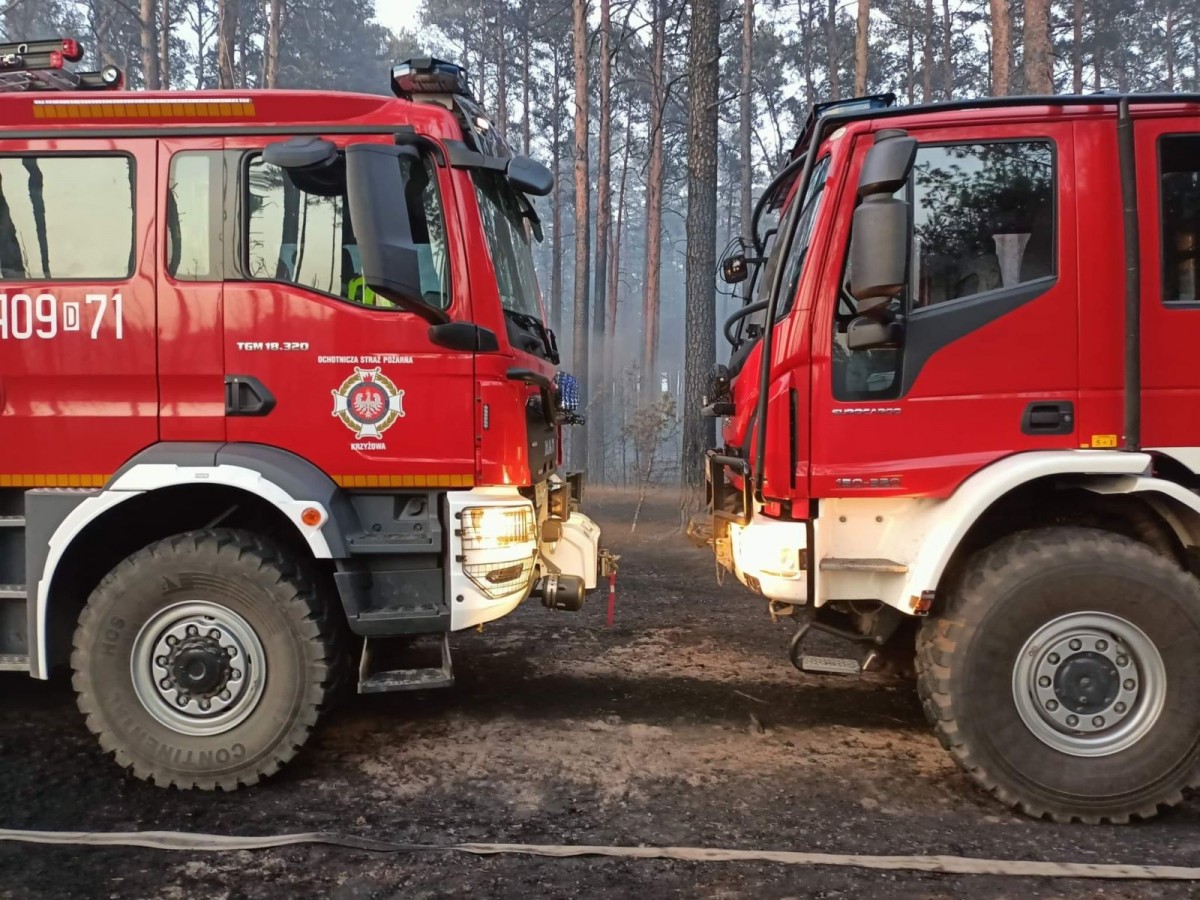 Działania OSP Krzyżowa