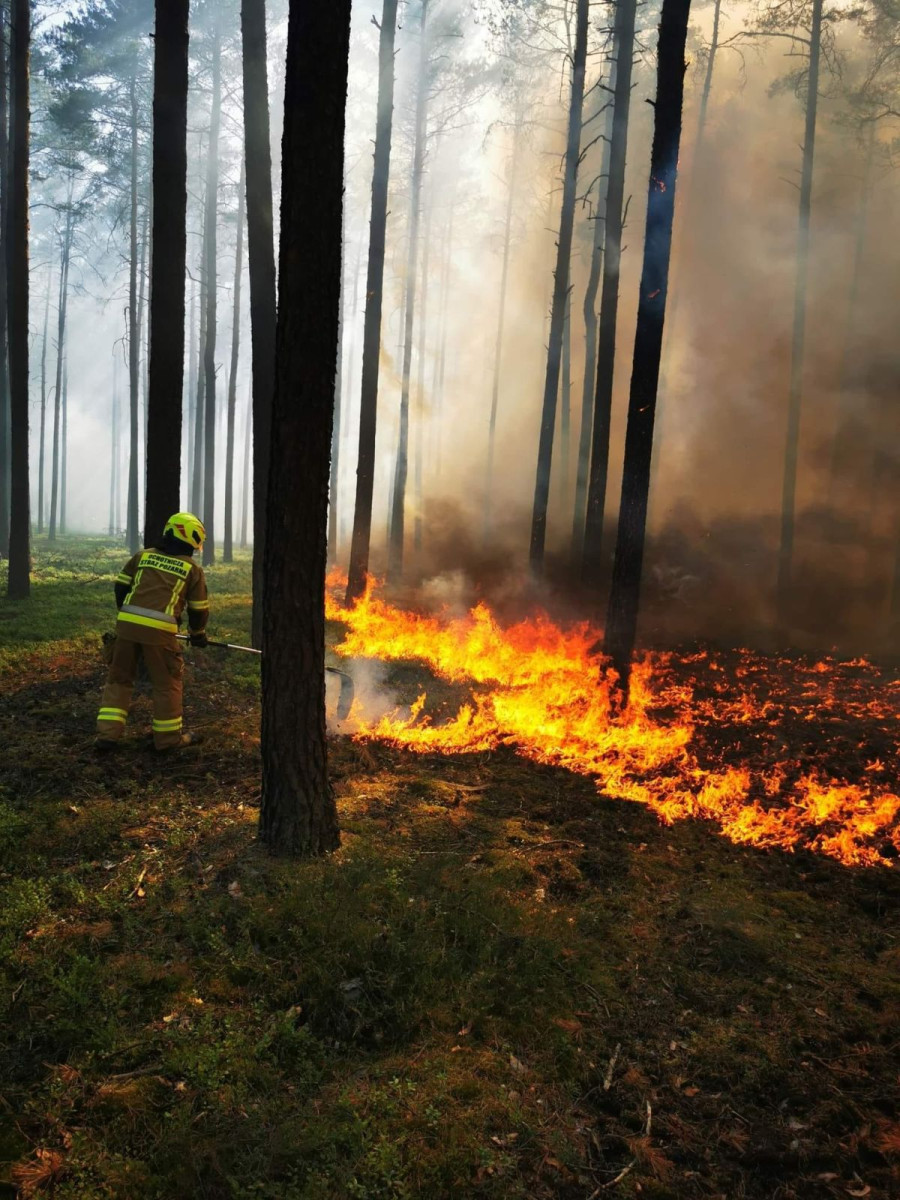 Działania OSP Krzyżowa