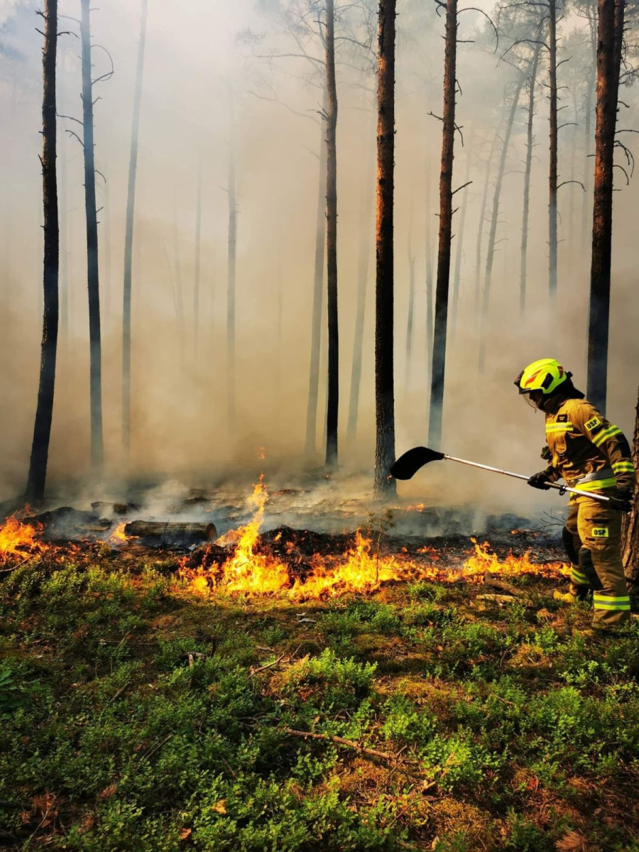 Działania OSP Krzyżowa