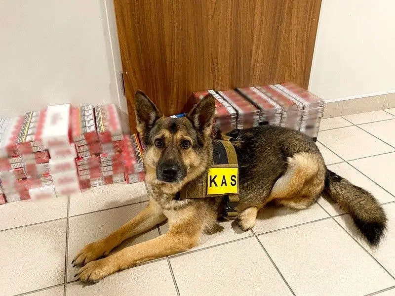 Podsumowanie KAS