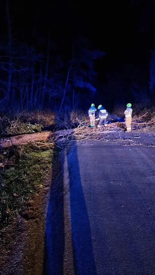 Interwencja strażaków w gminie Bolesławiec