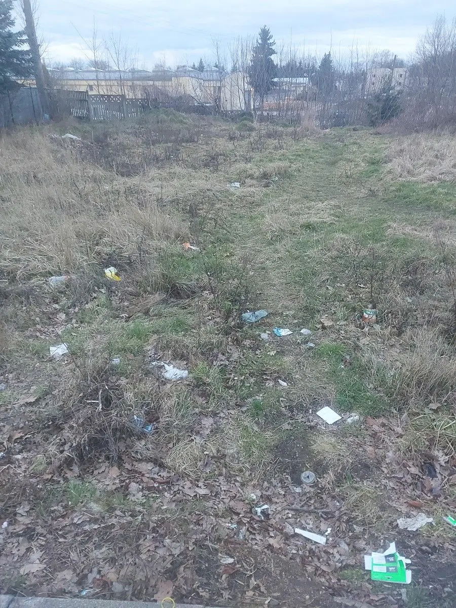 Śmieci w Bolesławcu
