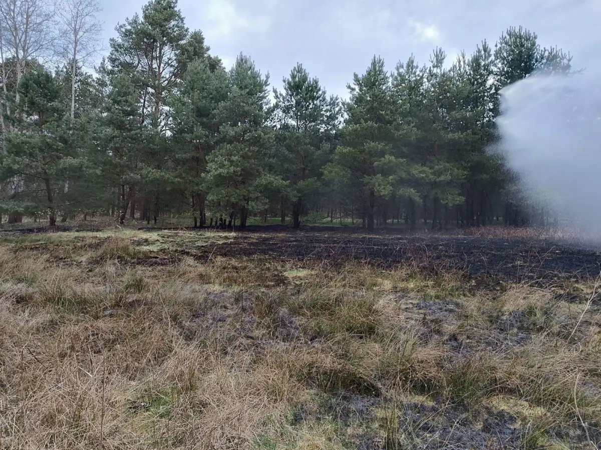 Pożar koło Pasternika i Motyli