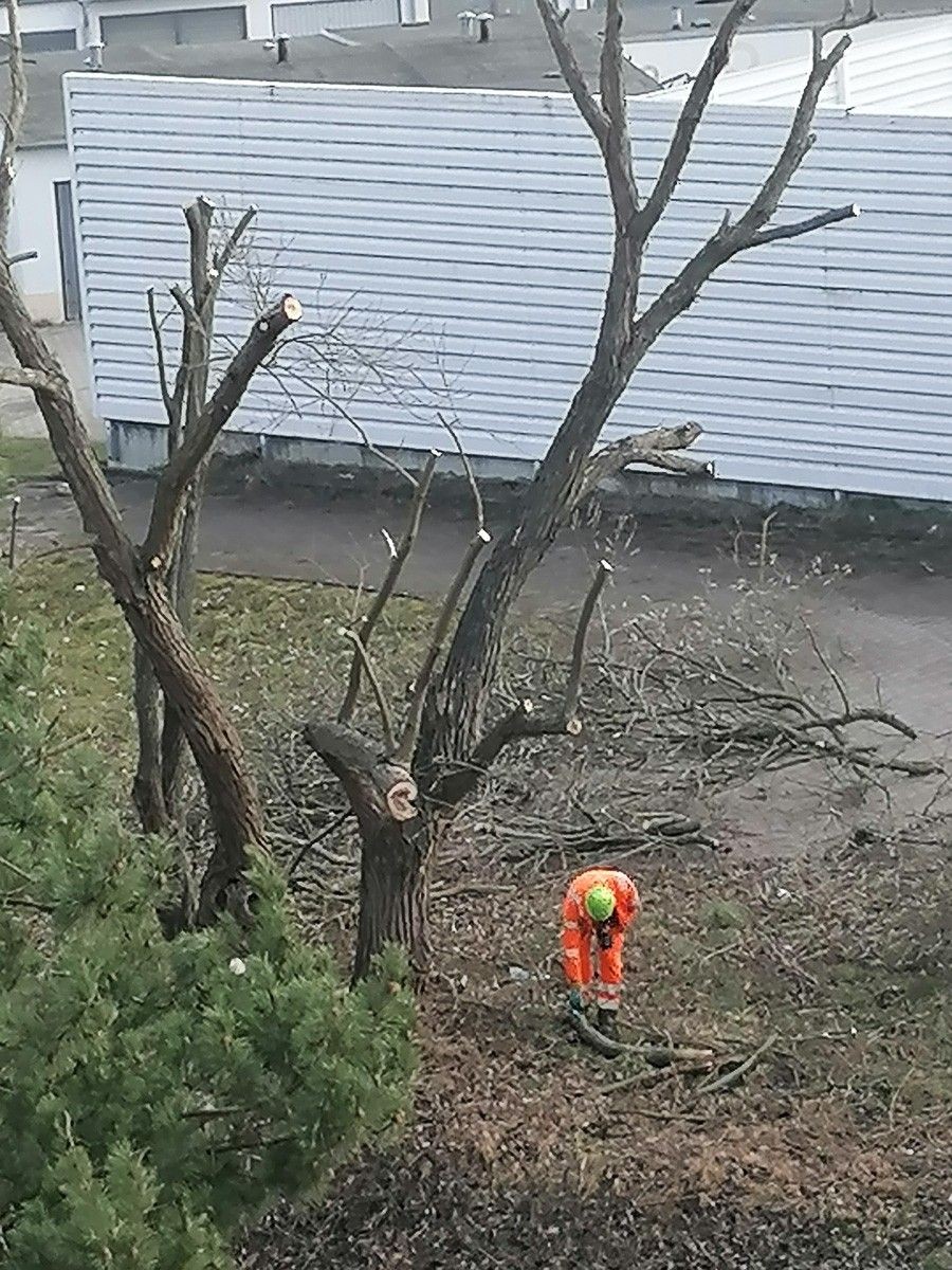 Działania przy ulicy Gałczyńskiego
