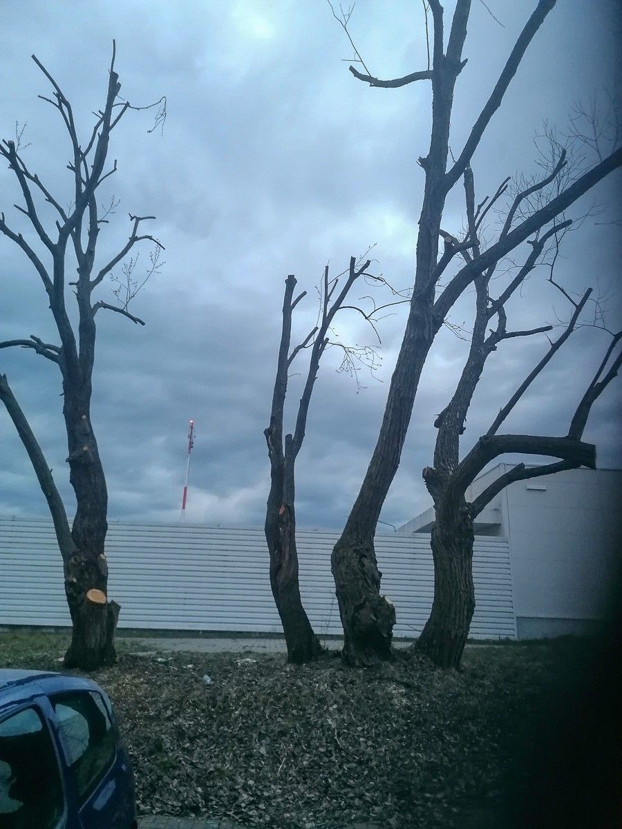 Działania przy ulicy Gałczyńskiego