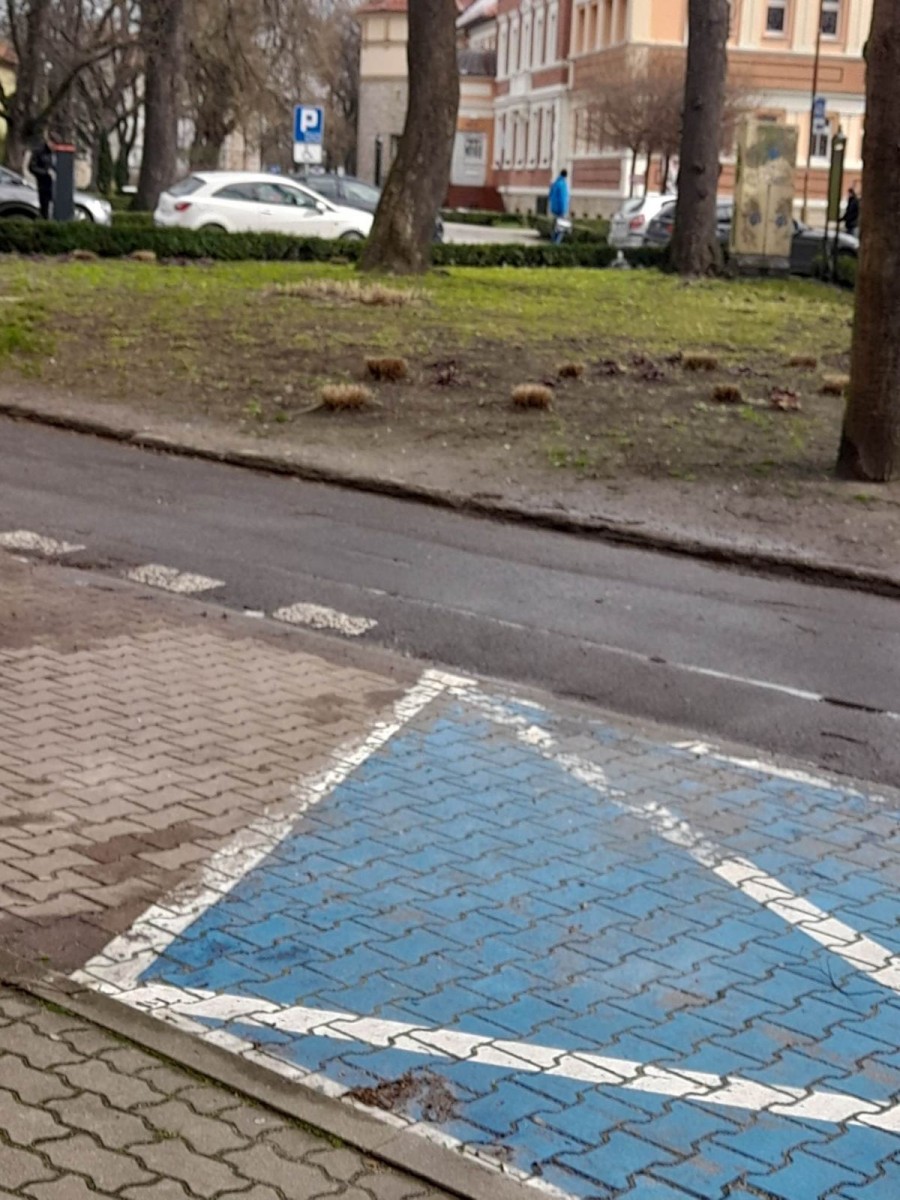 Aleja Partyzantów w Bolesławcu