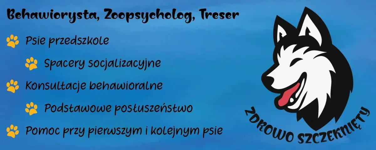Tresura psów w Bolesławcu