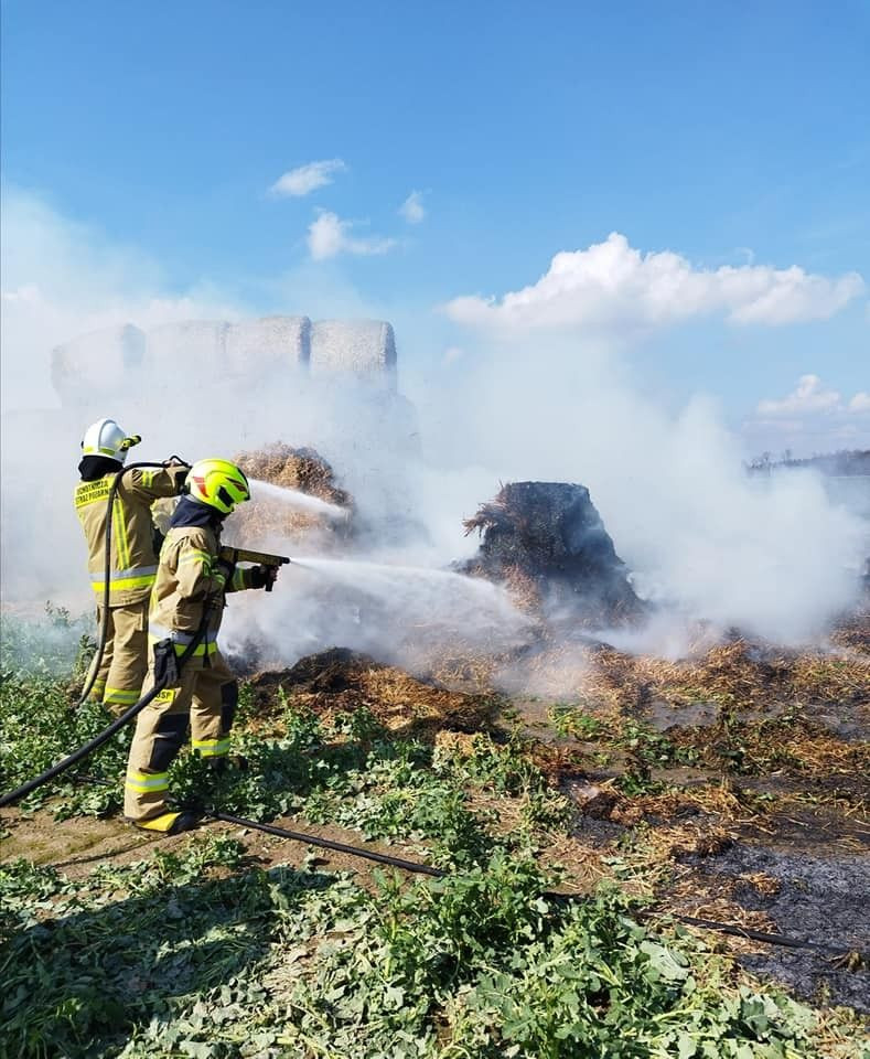 Pożar między Starymi Jaroszowicami a Wartowicami