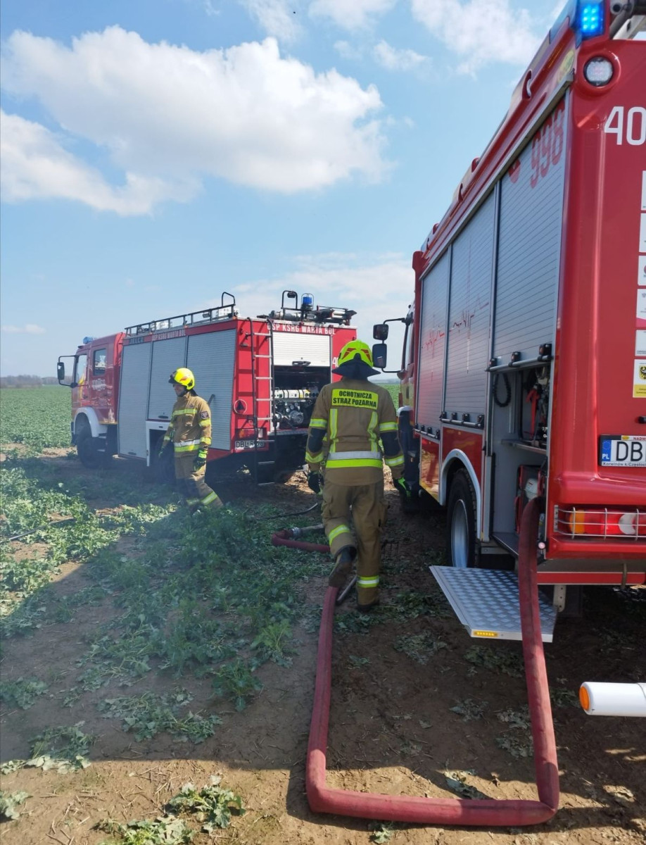 Pożar między Starymi Jaroszowicami a Wartowicami