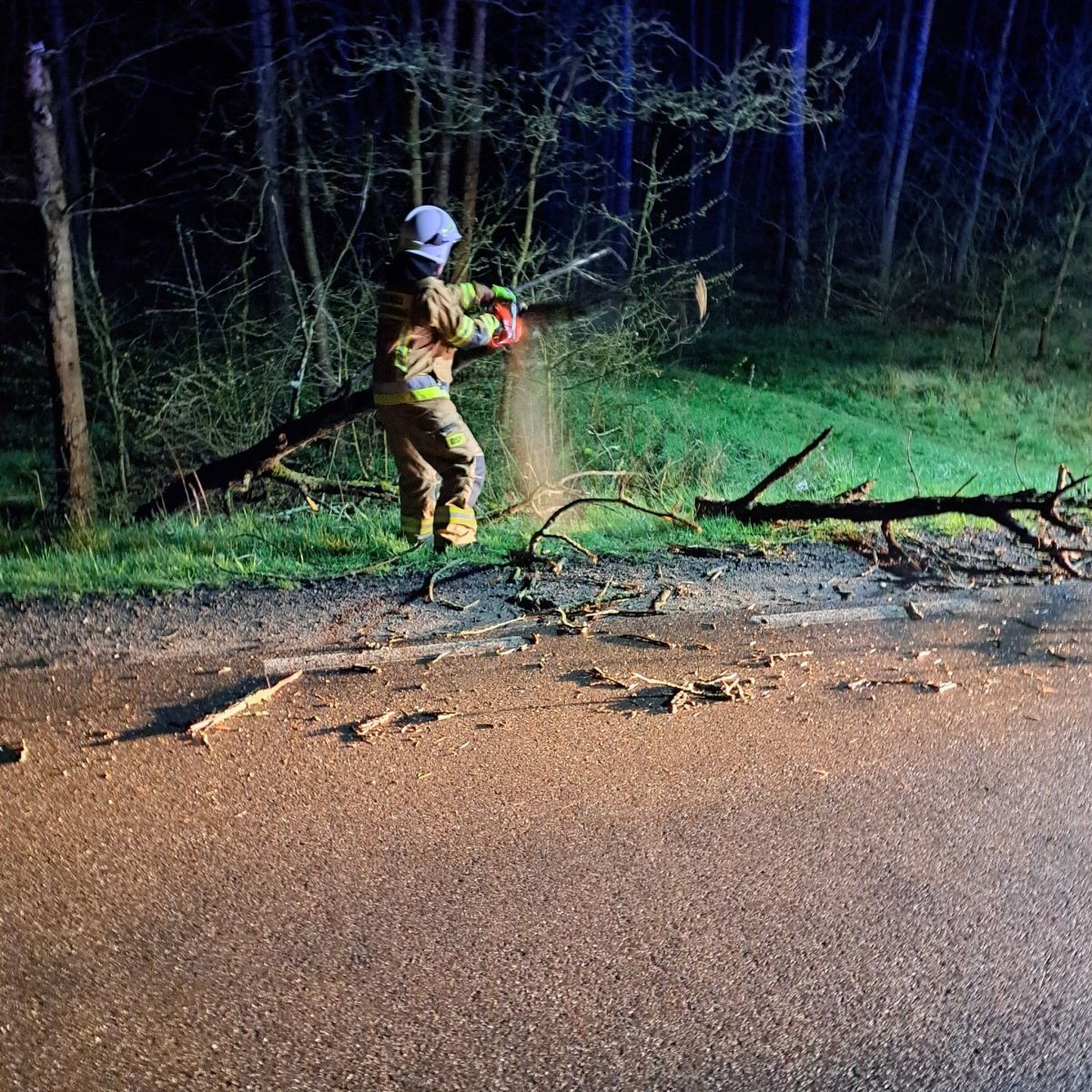 Akcja straży pożarnej koło Mierzwina